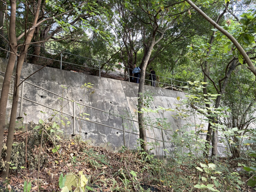 男子在山坡树上上吊，当场死亡。梁国峰摄