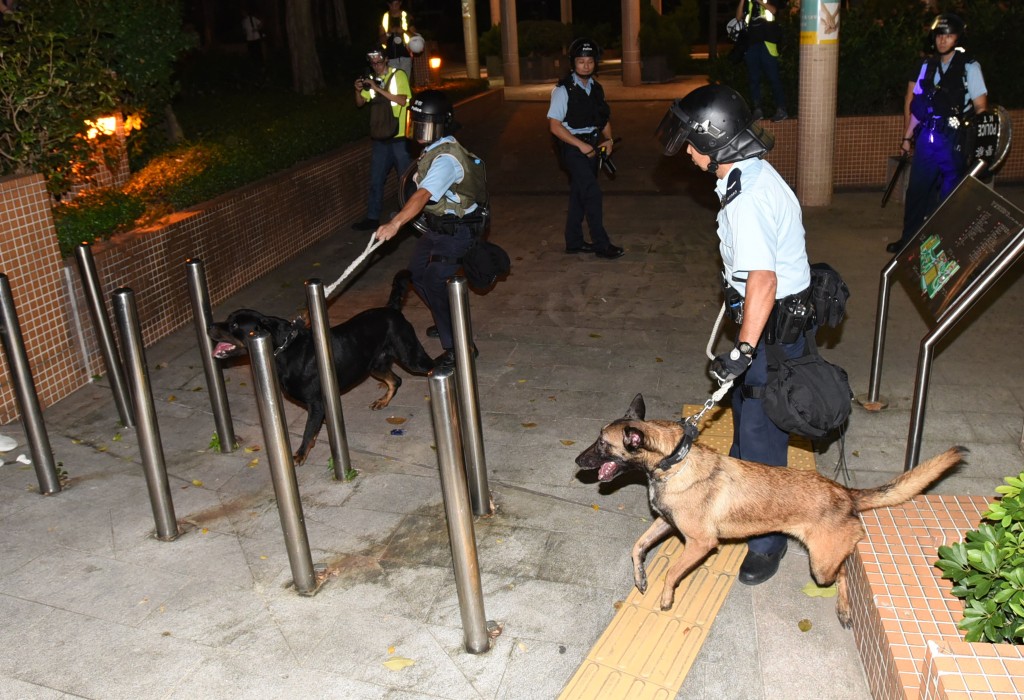 獸醫協會關注前線警犬受催淚煙影響健康。 資料圖片