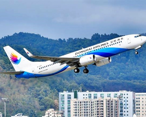 網上流傳東海航空一名機長和乘務長,上月中在一班航班上發生爭執互毆。網圖