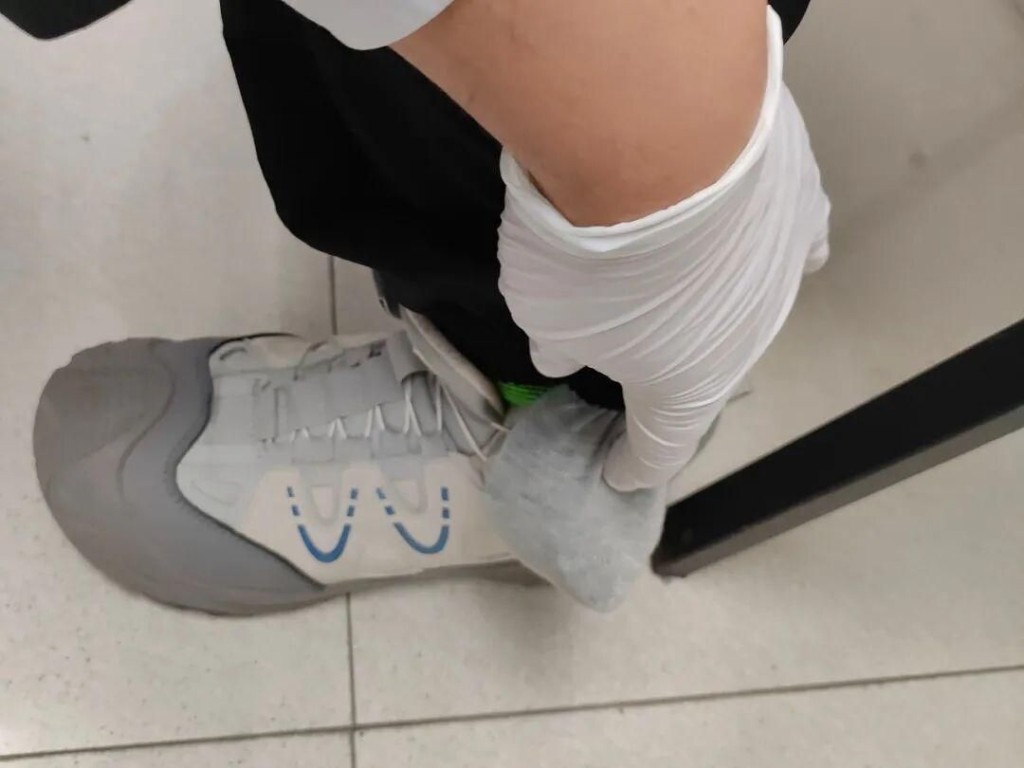 男子北上过关时，被揭发偷运活动球蟒。海关发布