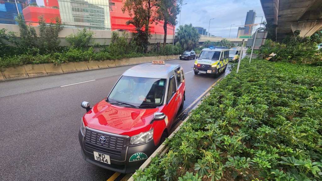 的士車頭貼近石壆。