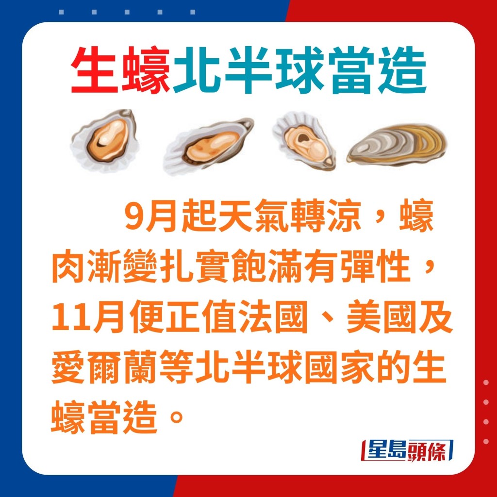 由11月开始，法国、美国及爱尔兰等北半球国家出产的生蚝便正值当造期。