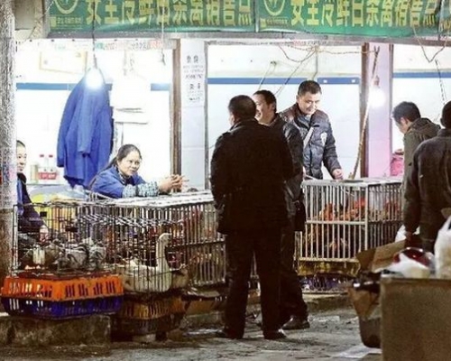 貴州至今共發現4宗人感染H7N9禽流感病例。網圖