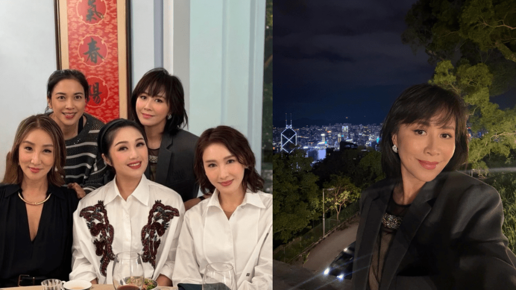 劉嘉玲穿半透視裝與九巴新抱半山豪宅敍舊  大晒無敵夜景  黎姿與楊千嬅同框形成強烈對比？