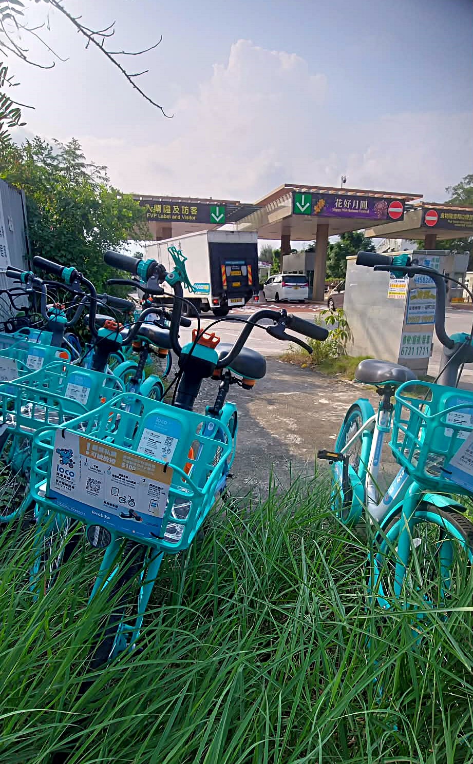 錦綉花園閘口前泊有共享單車。