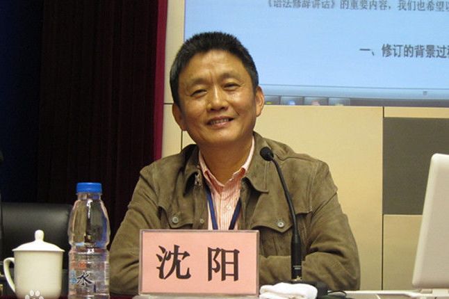 前北大教授沈陽。網圖