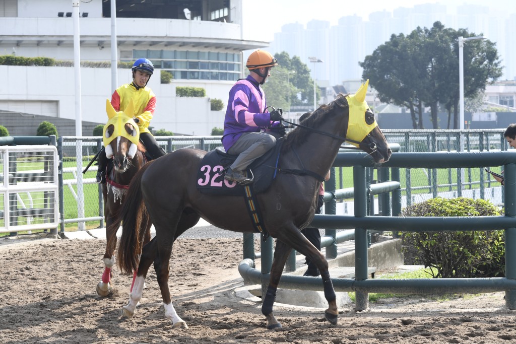 「河好運」配潘頓在同程輕勝，今仗升班作賽不見得有阻力。