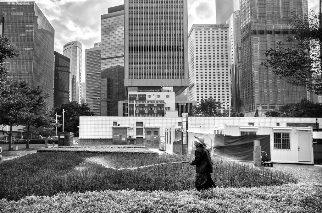 《The Old Ways - Hong Kong Island》，建築物與草叢在黑白光影下，展現出各具質感的層次。