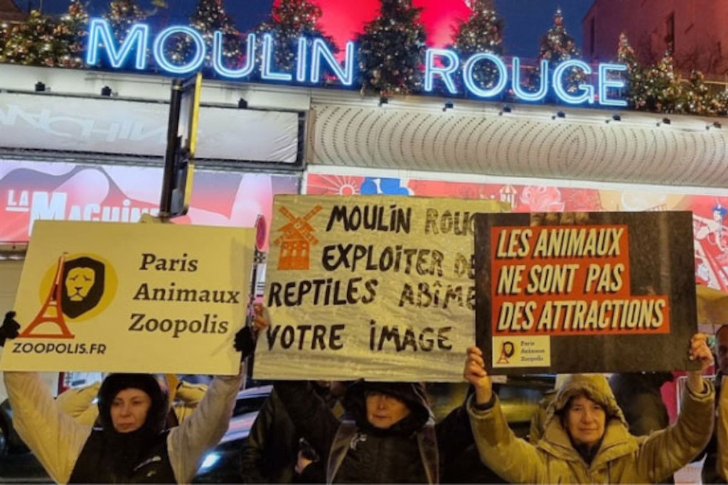 巴黎動物保護團體PAZ在紅磨坊（Moulin Rouge）外抗議。 網上圖片