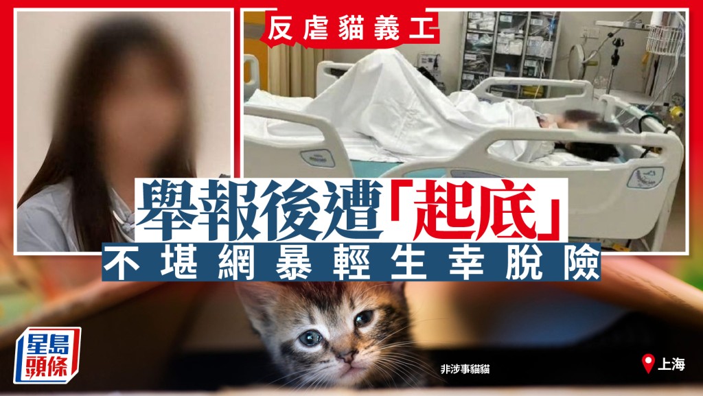 珍惜生命︱上海反虐貓義工遭「起底」  不堪網暴輕生幸送院脫險