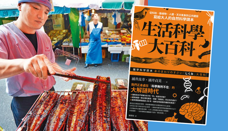 日本鰻魚產量不夠,故有部分會用中國進口鰻魚來充當一下。