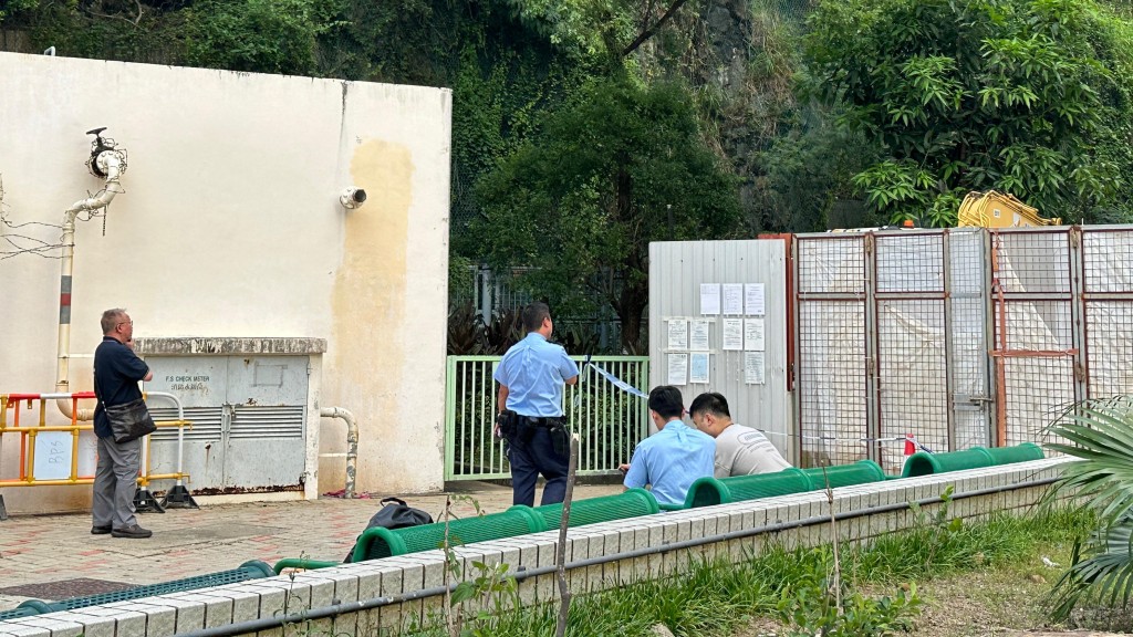 梨木樹邨工地鐵通墮下 女工被擊中頭傷浴血。