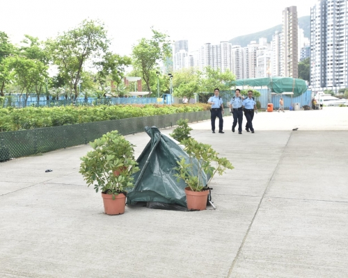 一名男子於鴨脷洲橋疑墮下身亡