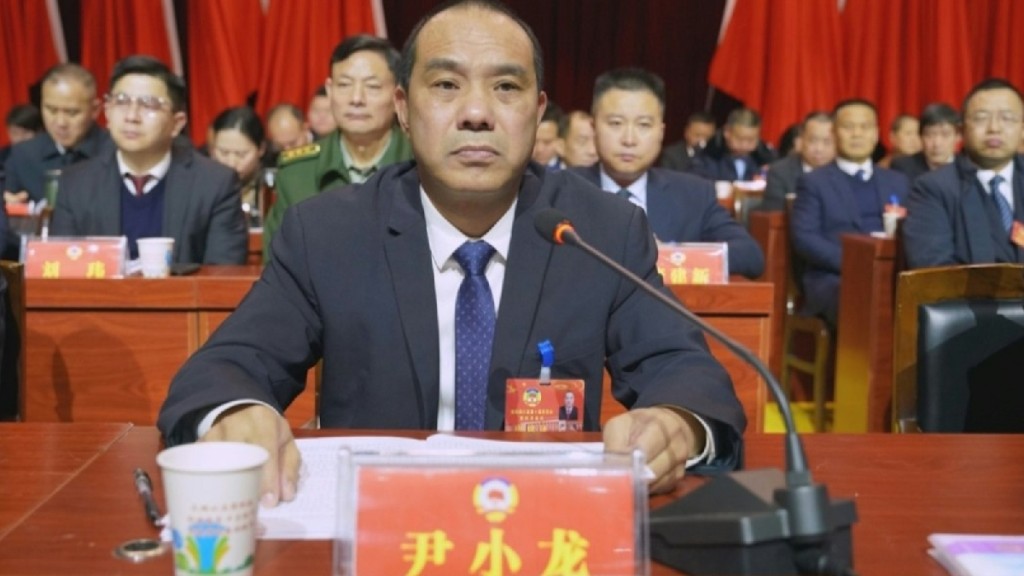 湖南县政协主席尹小龙被传因「嫖宿幼女」被捕，官方澄清揩，只涉嫖娼不涉幼女。
