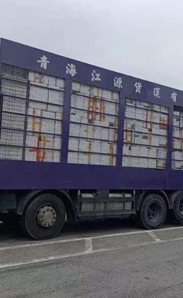 大型货车正把发泡胶箱付运至内地。