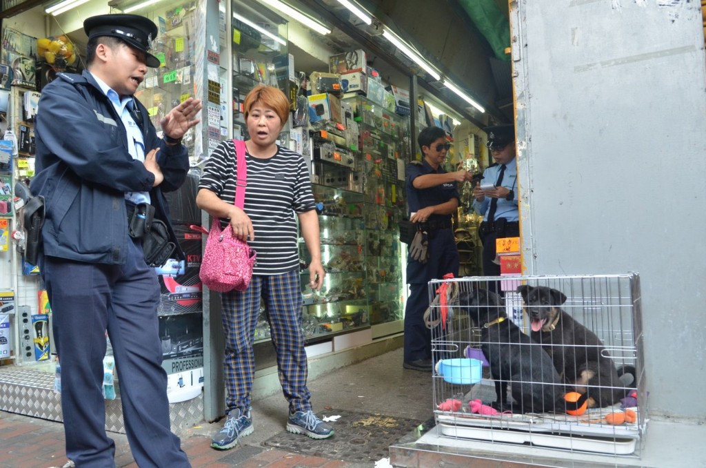 警員對女主人作出勸籲。