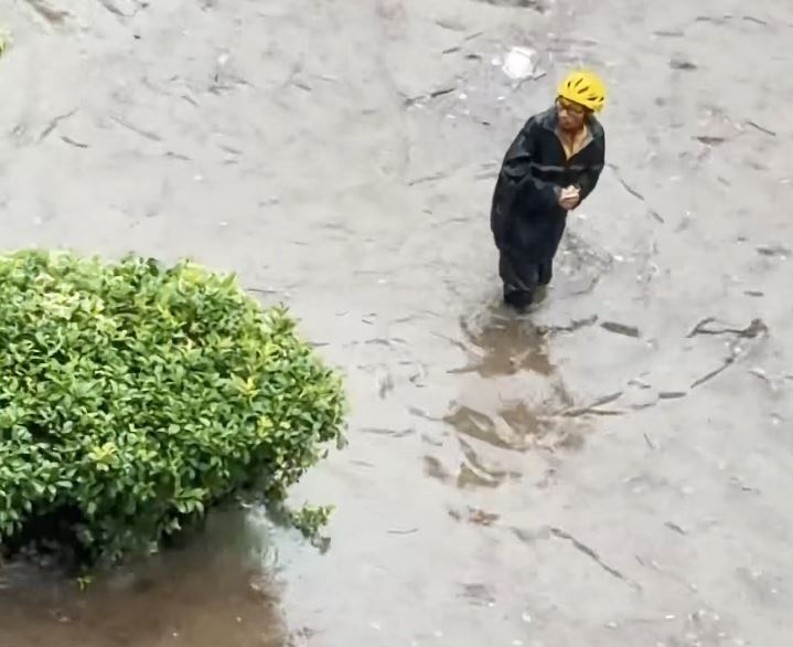 小周無助地在積水中找手機引起網民關注。