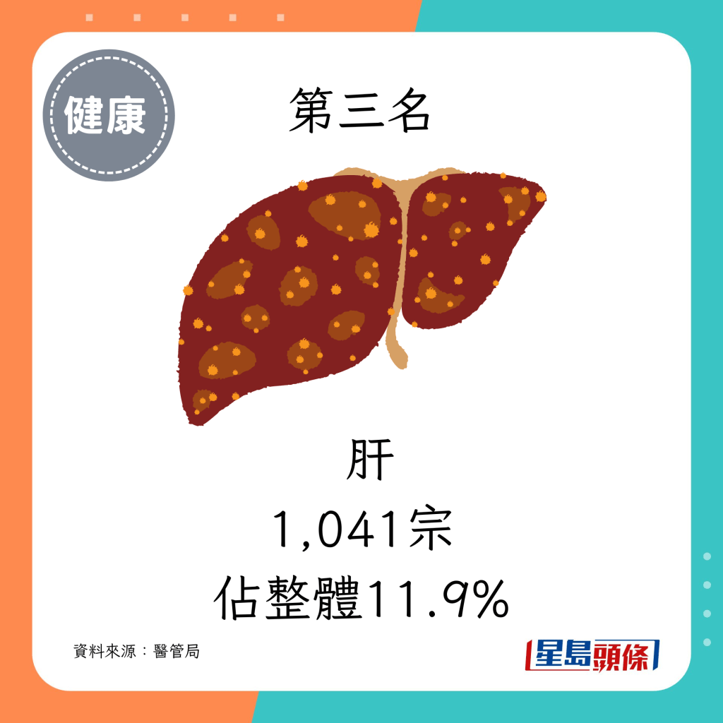 3. 肝（1,041宗，佔整體11.9%）