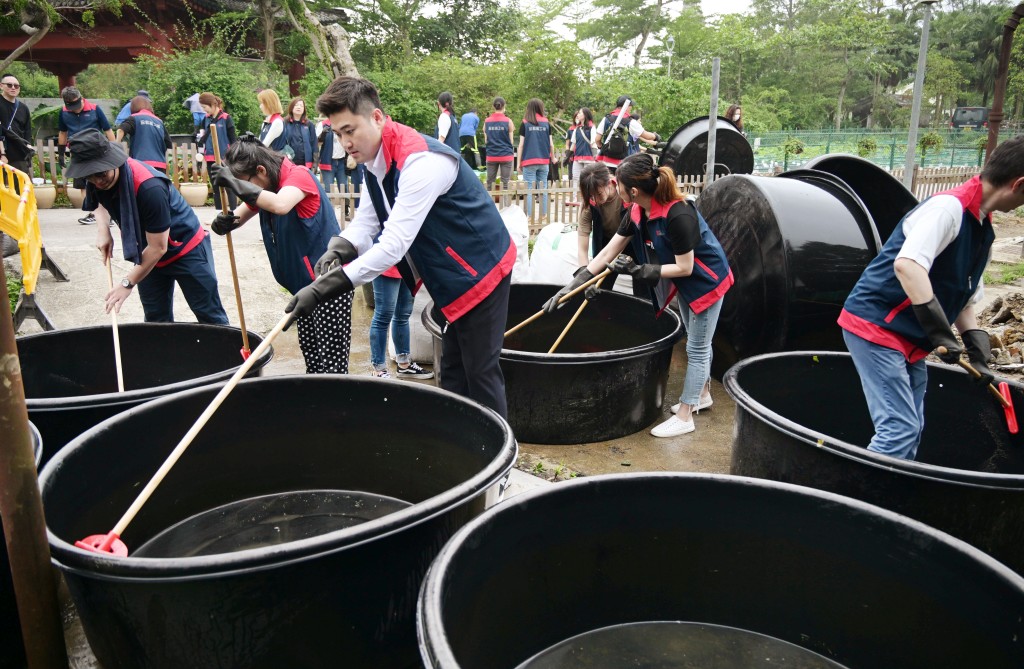 星岛行政总裁兼社长蔡晋博士与一众义工队齐清洗荷花种植缸。
