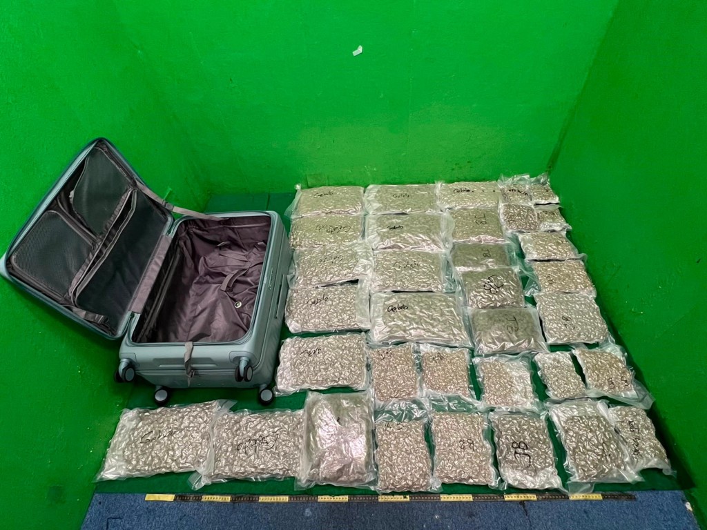 第二宗案件中檢獲的懷疑大麻花。政府新聞處圖片 第二宗案件中檢獲的懷疑大麻花。政府新聞處圖片