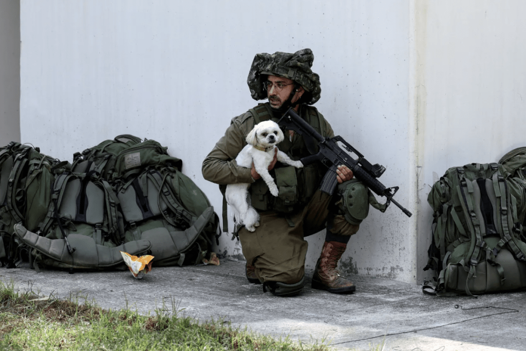 以色列南部農業社區卡法阿扎被「屠村」，一名以軍在社區內找到一隻倖存的小狗。路透社