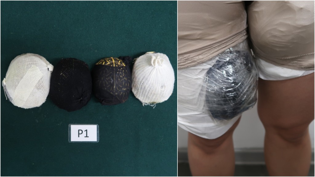 深圳灣長裙女大腿綁4瀕危活龜走私 被香港海關截獲 罪成囚兩個月