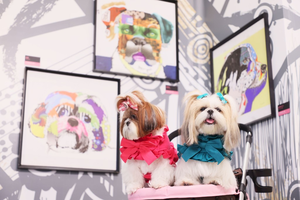 可於愛犬畫廊，拍下當西施遇上西施畫作。