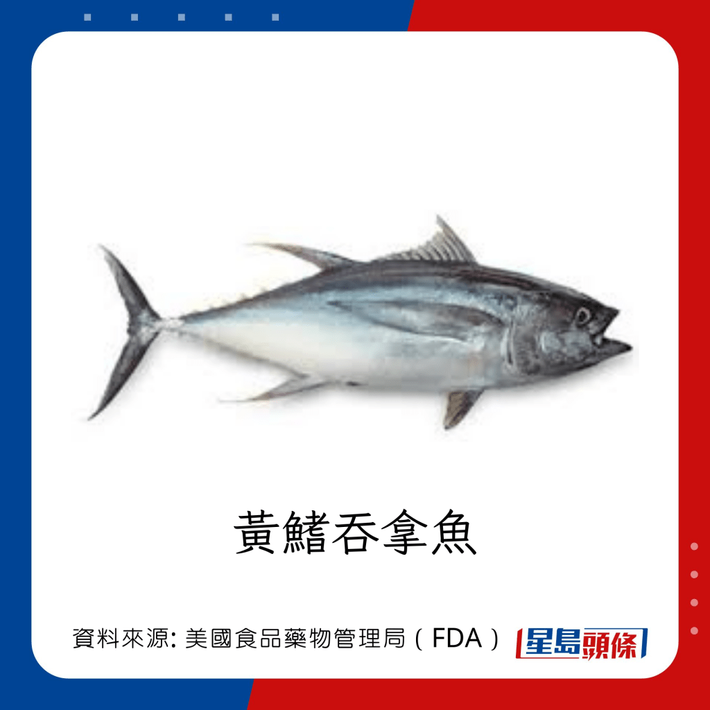 魚類水銀｜水銀含量中等的魚類：黃鰭吞拿魚