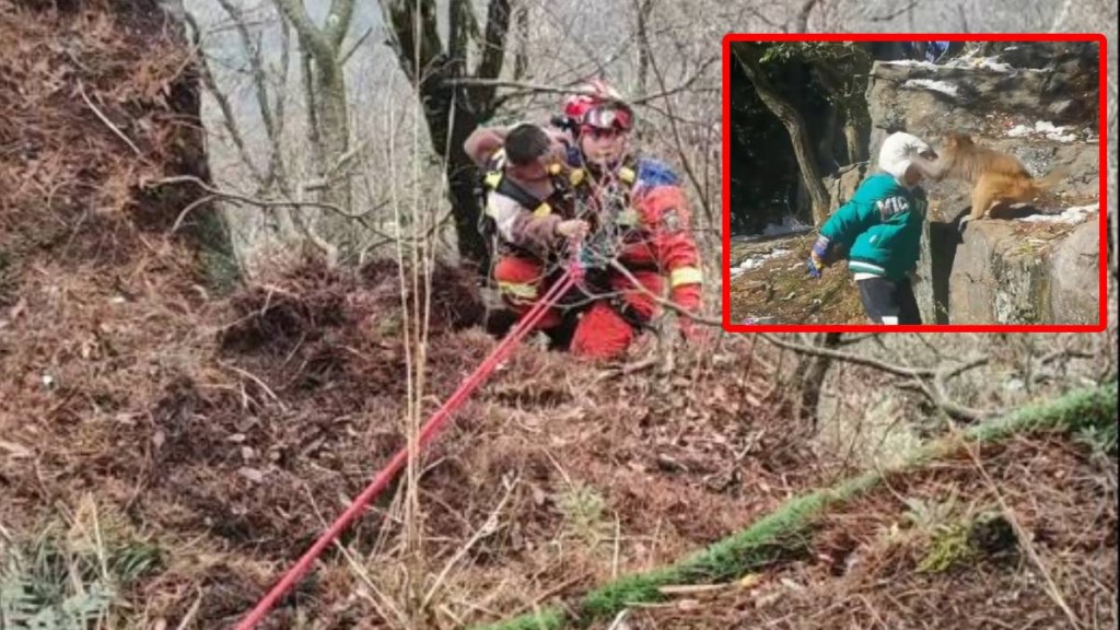 江西有男童因逗玩幼猴，被母猴拉落10米懸崖。小圖為示意圖