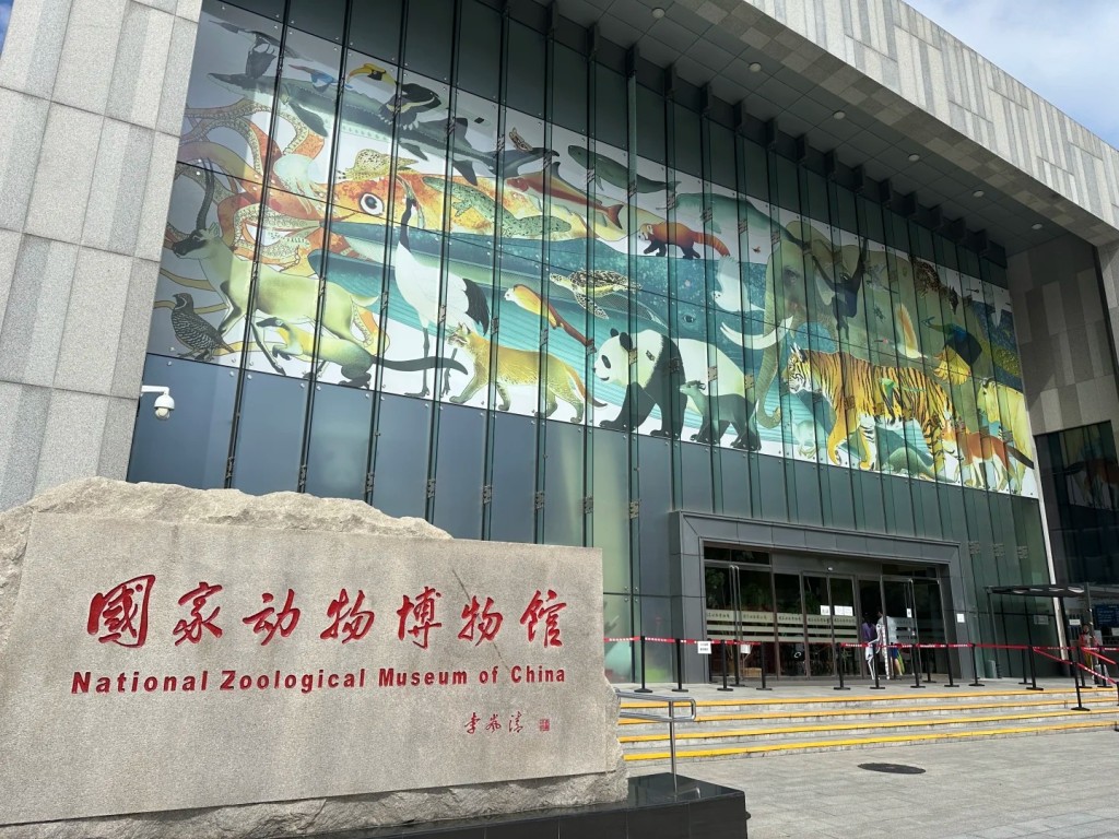 目前國家動物博物館僅就破壞標本事件予強烈譴責。 目前國家動物博物館僅就破壞標本事件予強烈譴責。