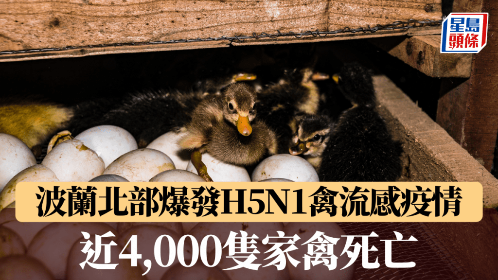 法新社資料圖片