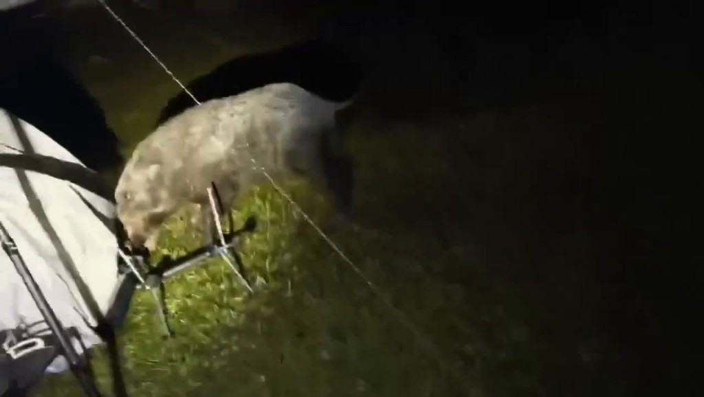 Threads截圖(資料來源:szewai_li@Threads) Threads截圖(資料來源:szewai_li@Threads)