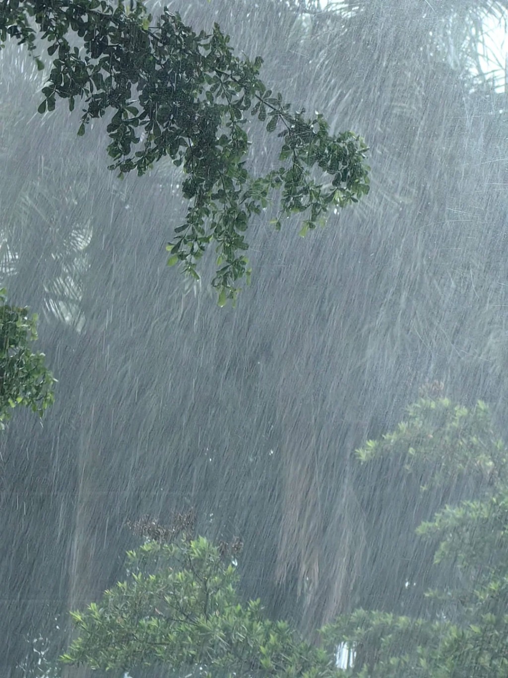 「深圳天气」指，中山珠海及香港分别有降雨云团，中午起会进一步影响深圳。小红书