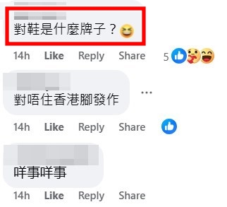 Threads及facebook截圖：資料來源：chris168168168＠ Threads及FriendlyTiger6817 ＠facebook車cam L（香港群組）