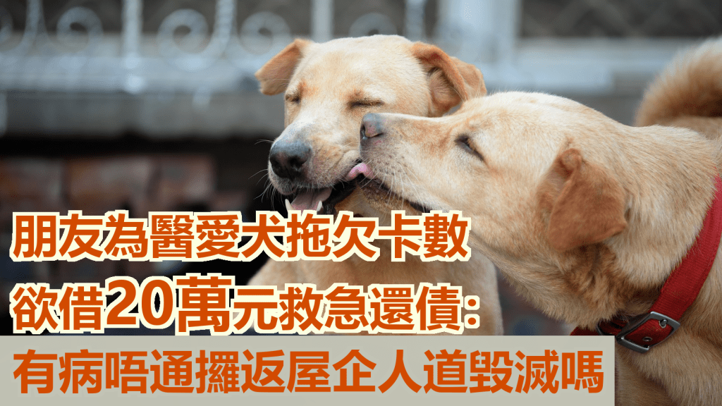 朋友為治療愛犬欠債,打算向公司老闆借錢20萬元還卡數。資料圖片