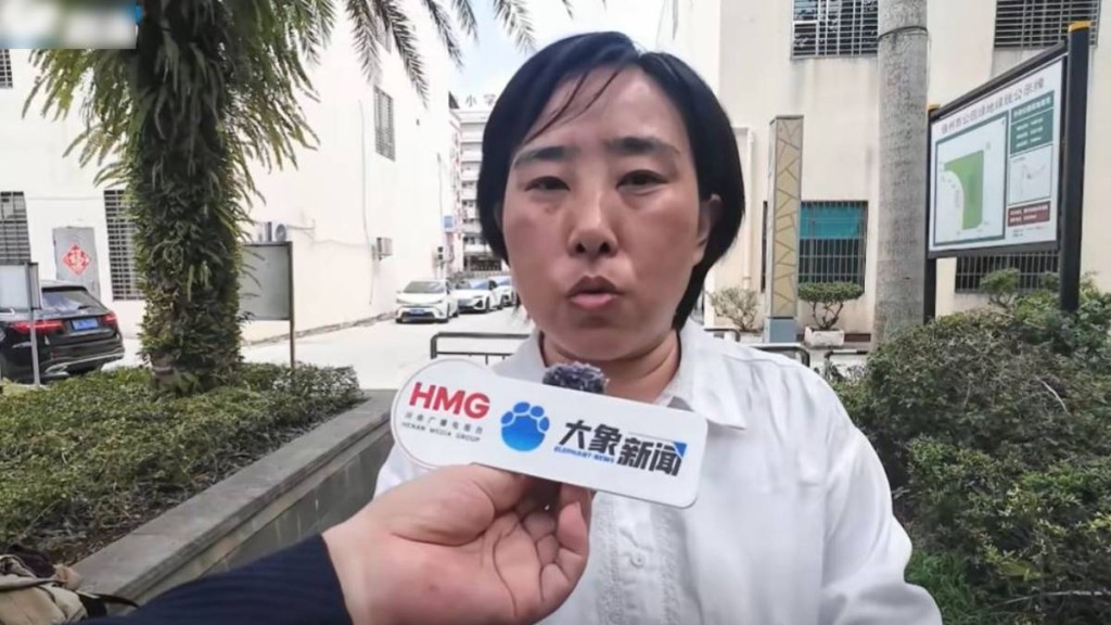 史玉輝申請國家賠償僅13天後被叫停。大象新聞