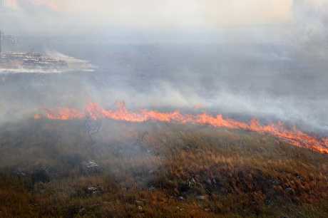 西西里島巴勒莫附近可見山火猛燒。美聯社