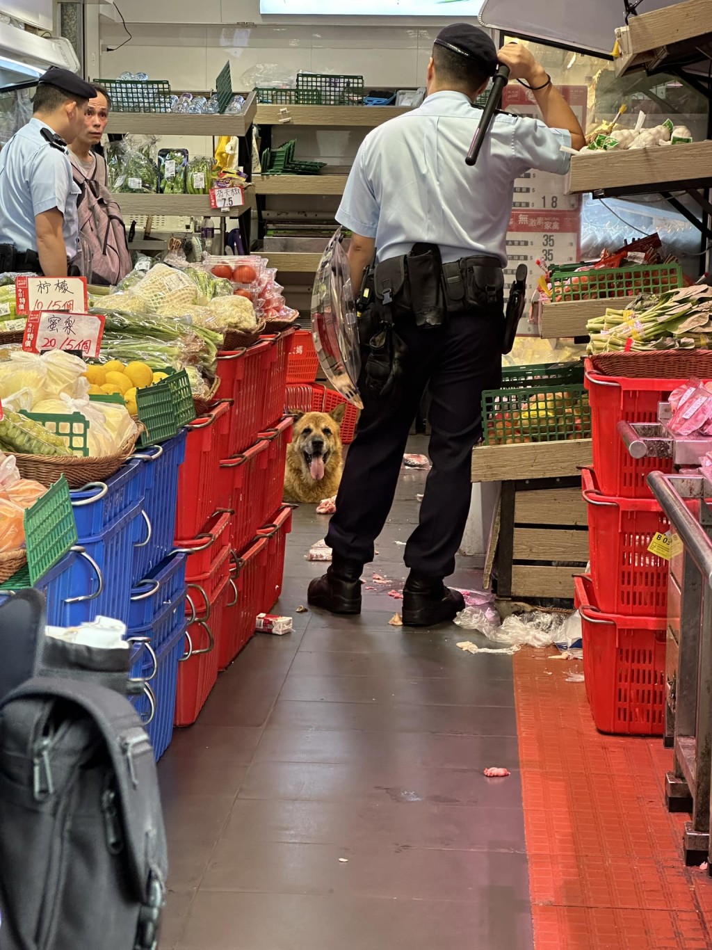 狗狗大鬧超市，警員持盾在場戒備。大埔Tai Po FB