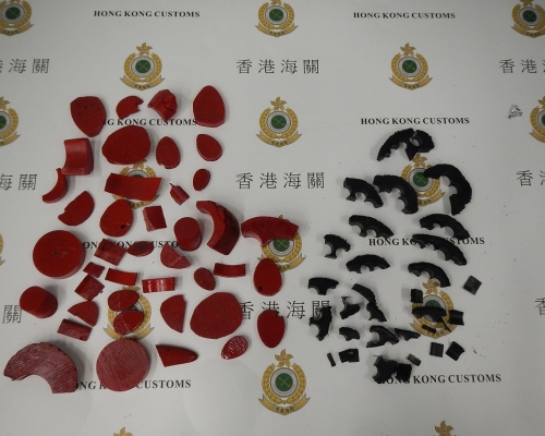 檢獲的犀牛角。