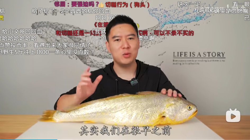 這樣看來真的很大條魚。