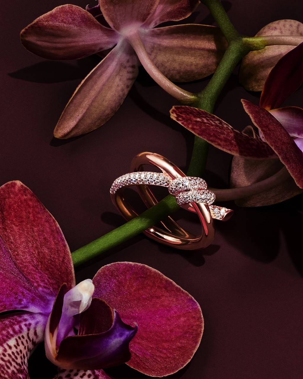 Tiffany Knot Double Row指環，18K玫瑰金鑲鑽石。$49,400