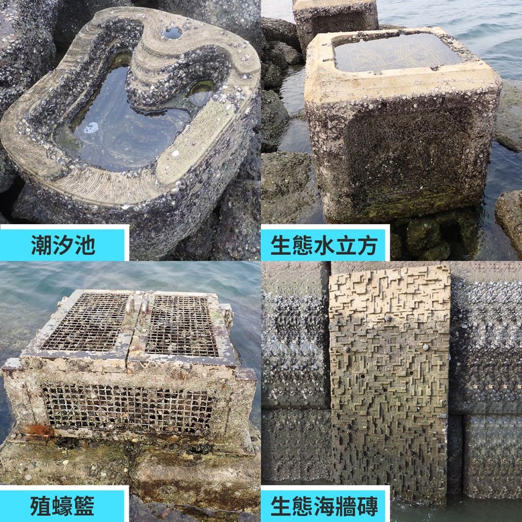 在馬料水先行先試生態海岸線,設計了四種組件,黃錦星稱之為生態海岸「四寶」。 政府提供