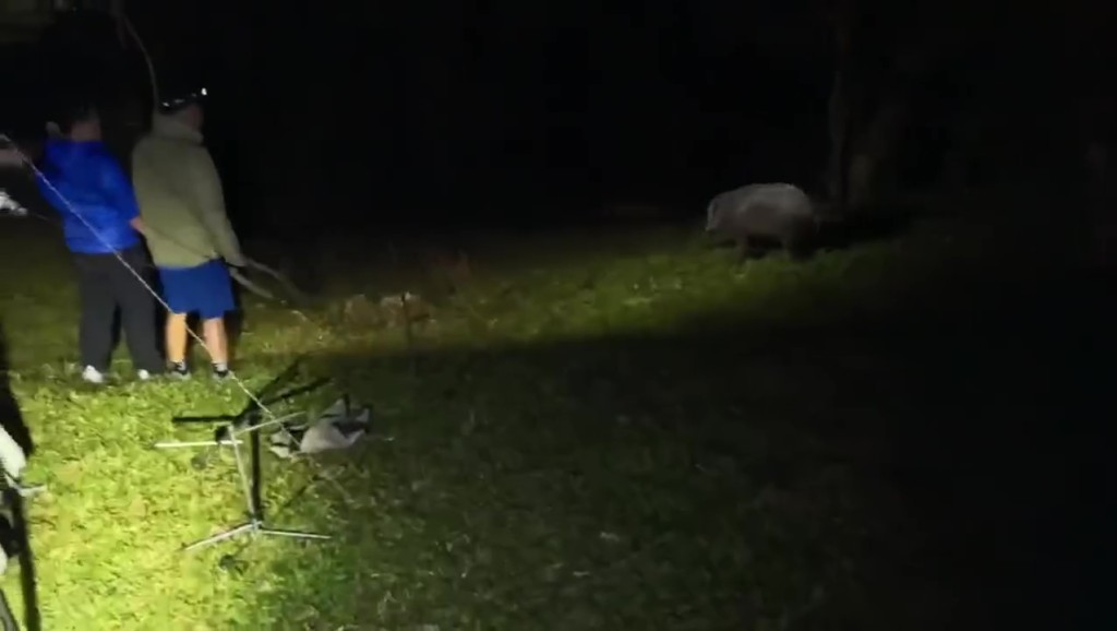 Threads截圖(資料來源:szewai_li@Threads) Threads截圖(資料來源:szewai_li@Threads)