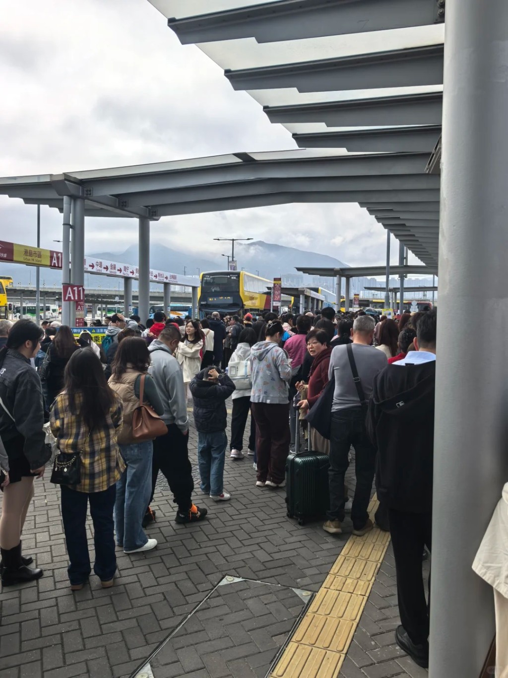 港珠澳大橋2月1日客流車流齊創新高。小紅書