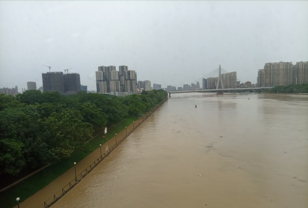 廣州連日暴雨，河流水位上漲。微博＠廣東的熊貓