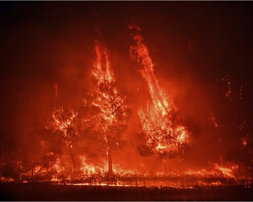 納帕山谷核心地區爆發山火,數個社區與一家醫院需疏散。AP圖片