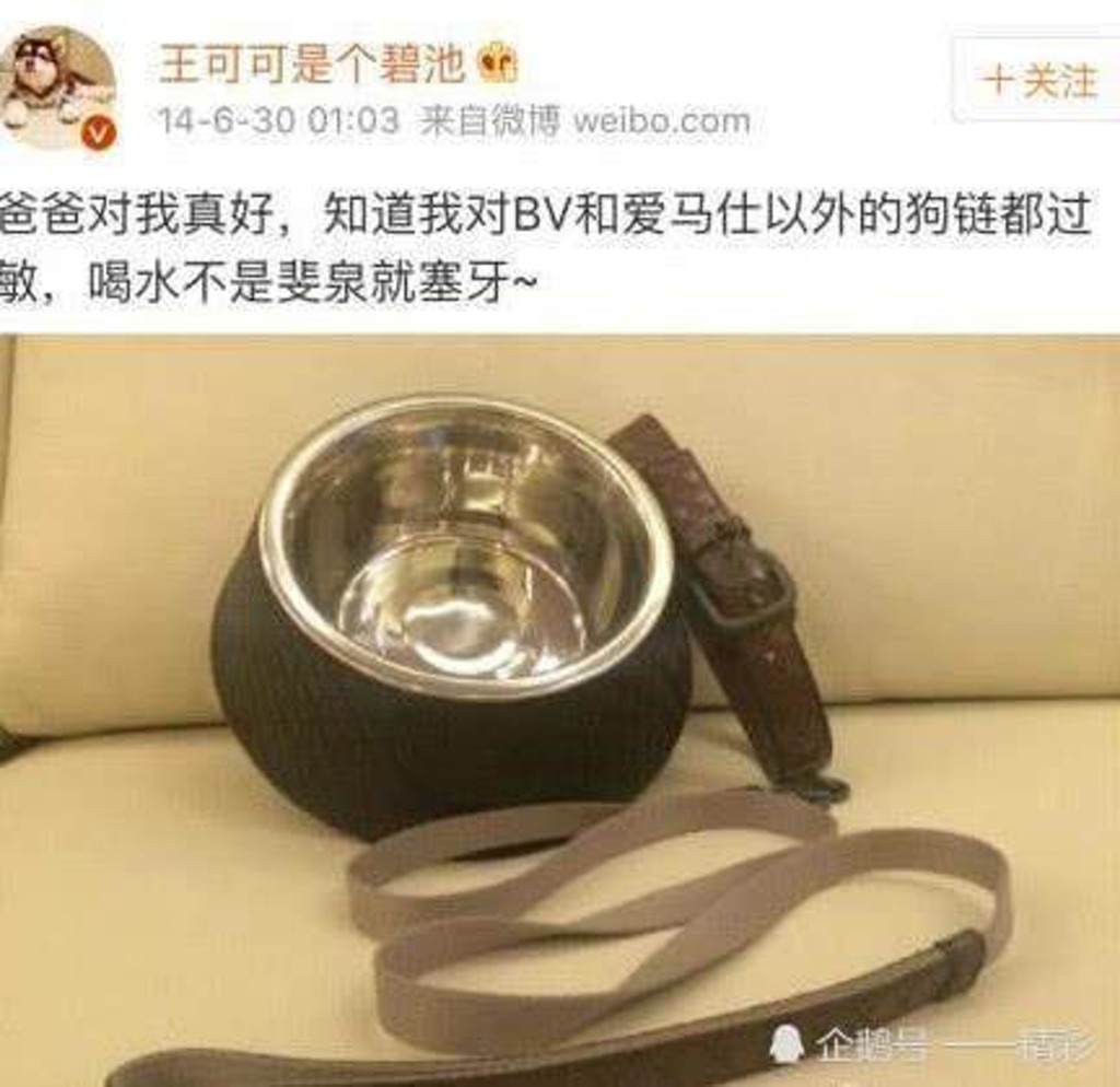 王思聪的爱犬拥大量名牌产品。