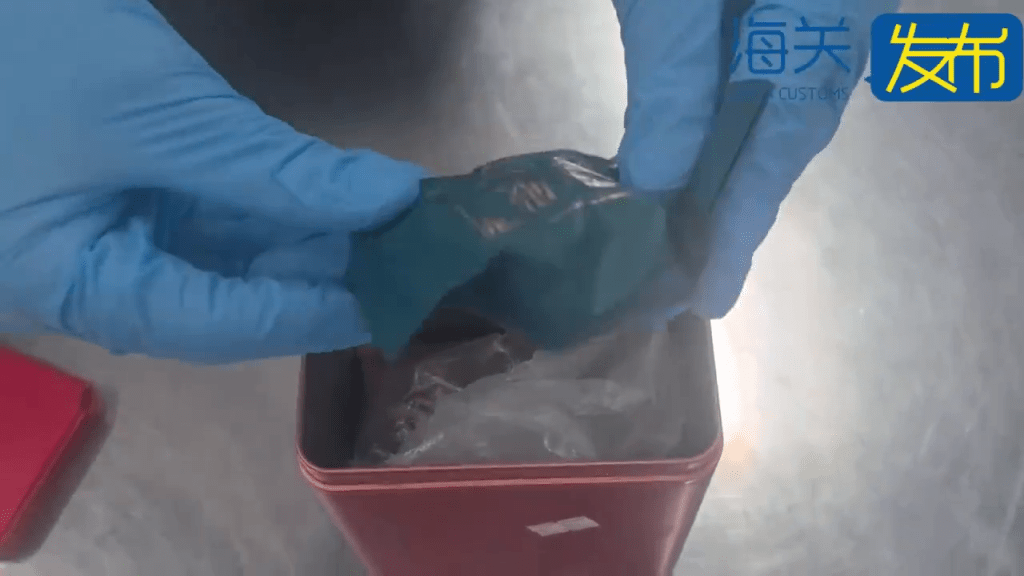西九高鐵入境內地，男子行李傳刺鼻異味，關員揭「大麻扮茶葉」。 海關發佈