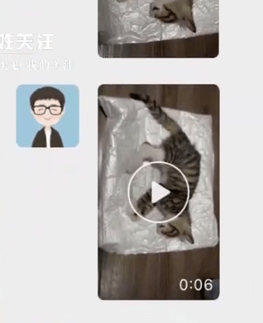 网传老师领养猫后有虐猫行为，将死猫影片发给原主人。