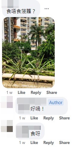 有網民在回應欄上載拍攝到的菠蘿成熟時相片。fb「青衣街坊吹水會」截圖